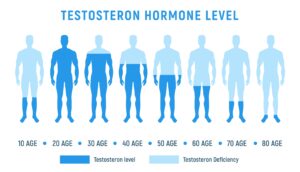 increase testosterone